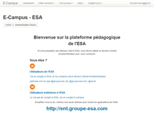 Tablet Screenshot of e-campus.groupe-esa.com